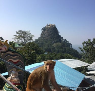 ミャンマー・バガン旅行【いざ仏教三大聖地へ】1人旅ブログ  part3
