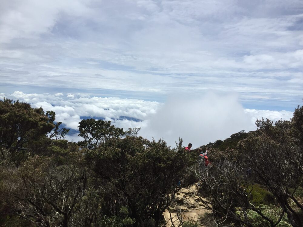 キナバル山が海外初登山におすすめな7つの理由【注意点も解説】