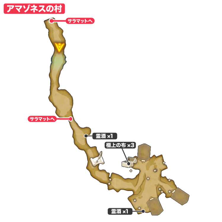 アマゾネスの村